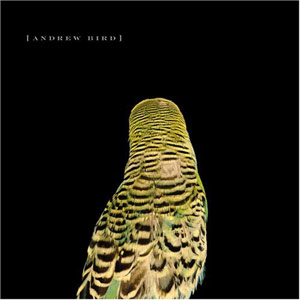 Andrew Bird - Armchair Apocrypha