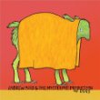 andrewbird